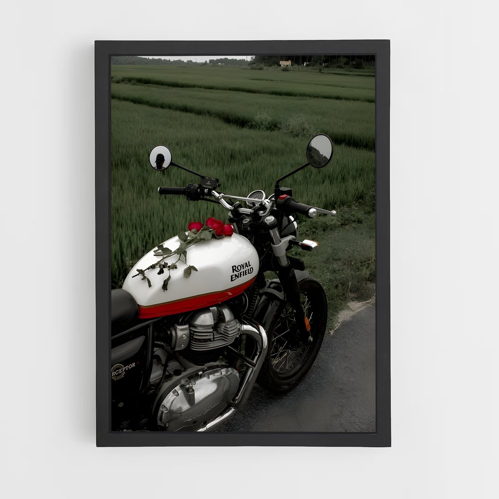 Poster Royal Enfield magnifique (vue 2)